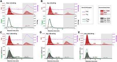 Asymmetrical Flow Field-Flow Fractionation Methods for Quantitative Determination and Size Characterization of Thiols and for Mercury Size Speciation Analysis in Organic Matter-Rich Natural Waters